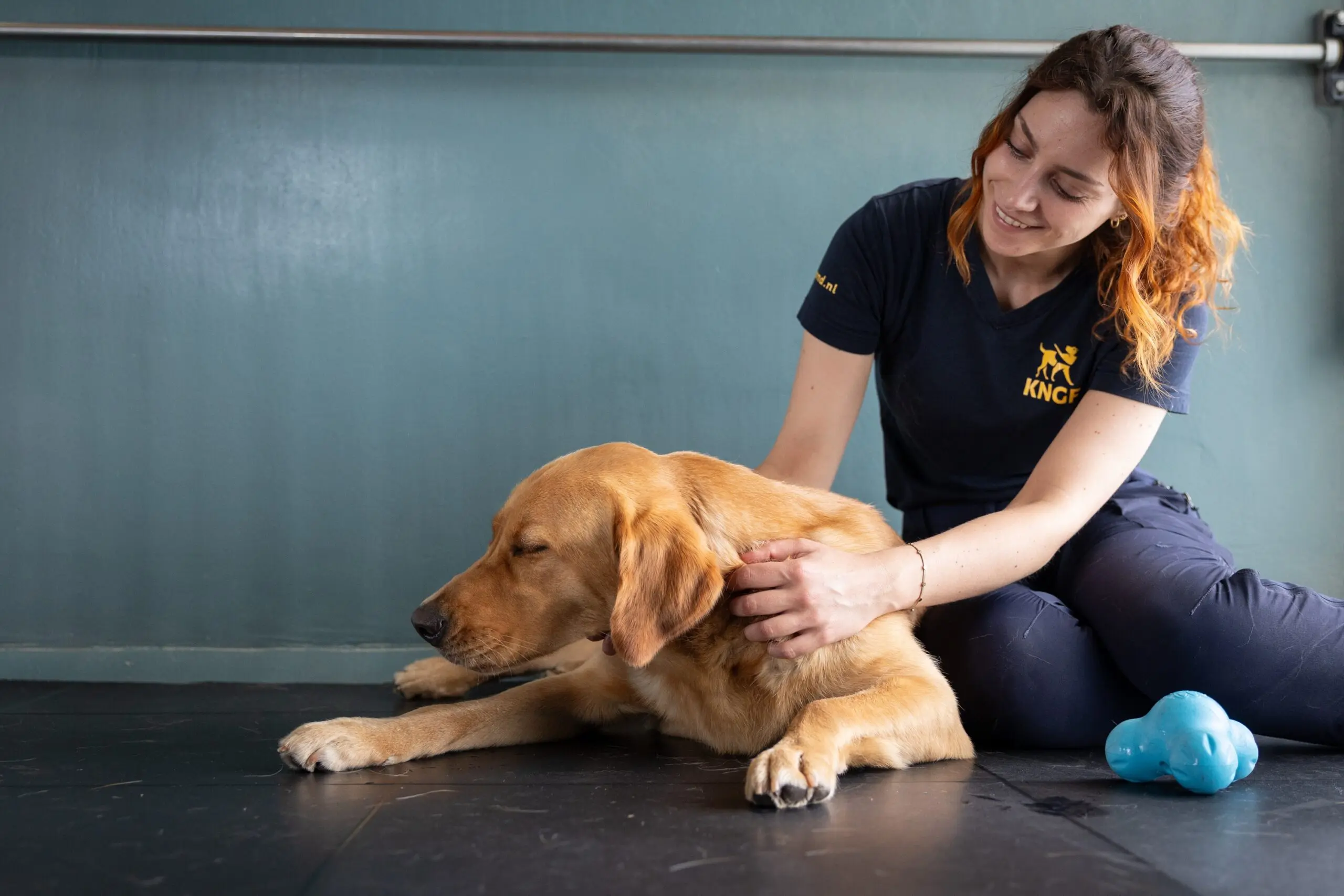 Hond en medewerker knuffelen