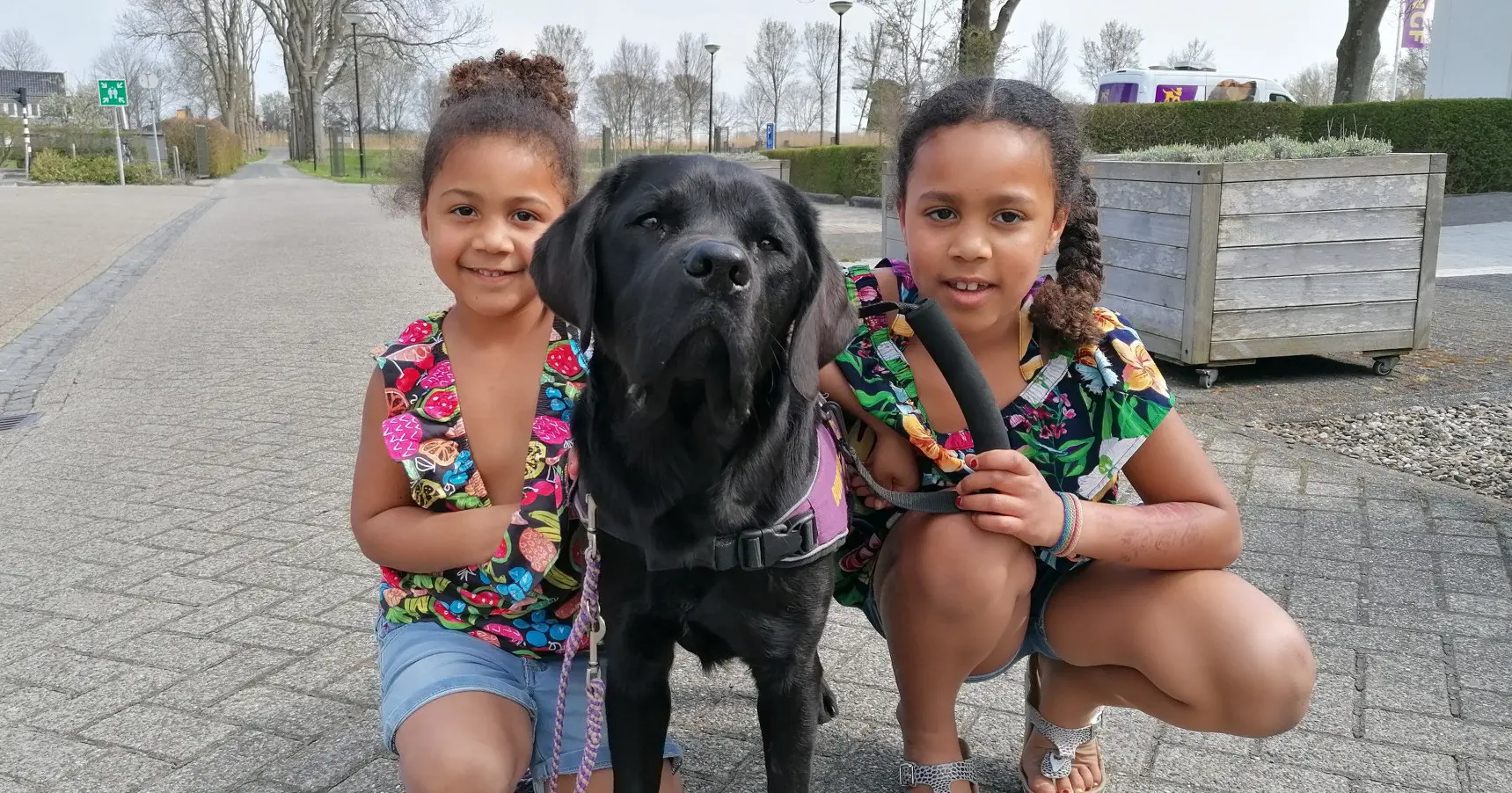 Hulptrainers die maar wat graag aaien en brokjes geven