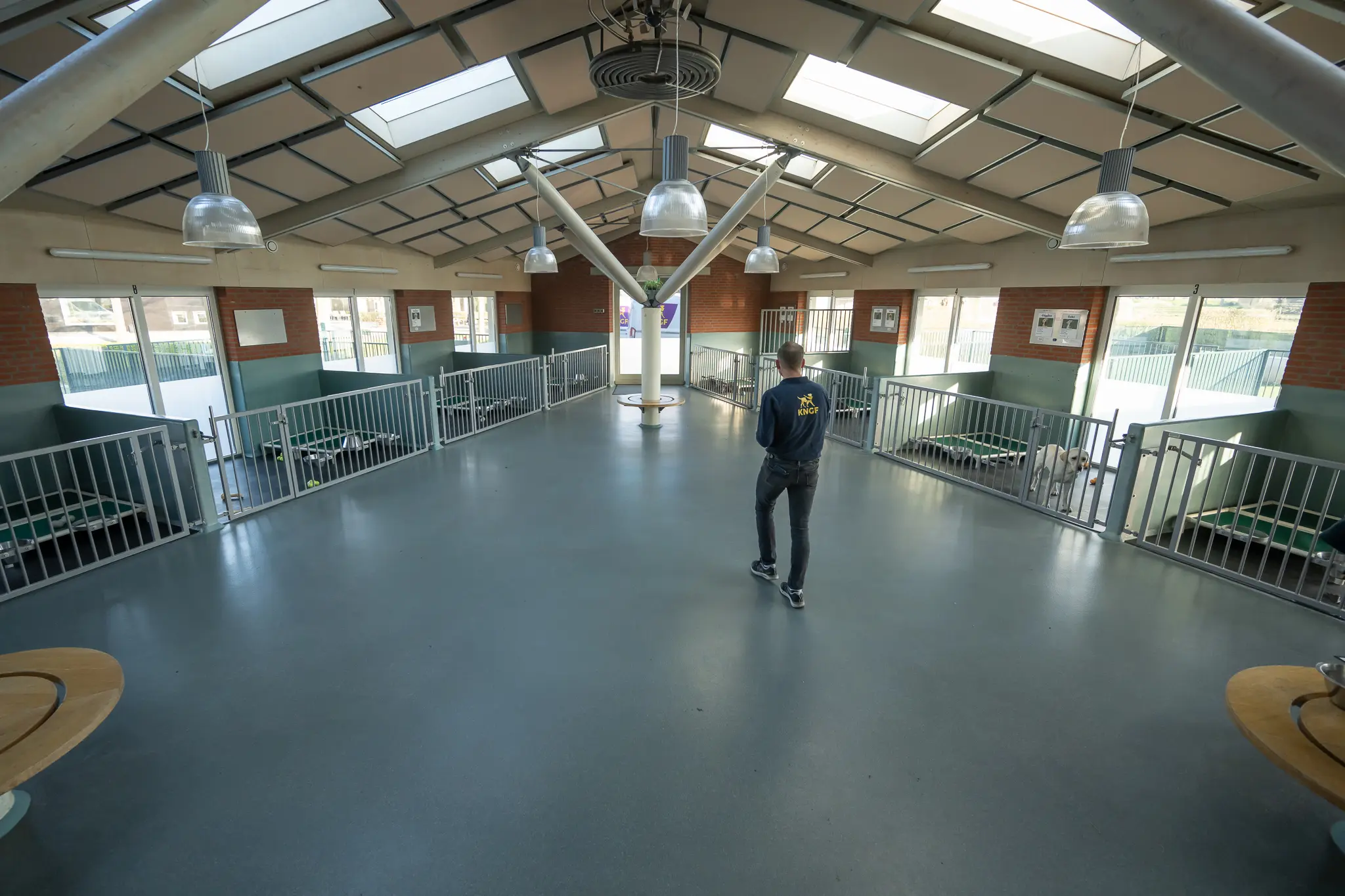 Overzicht kennel KNGF