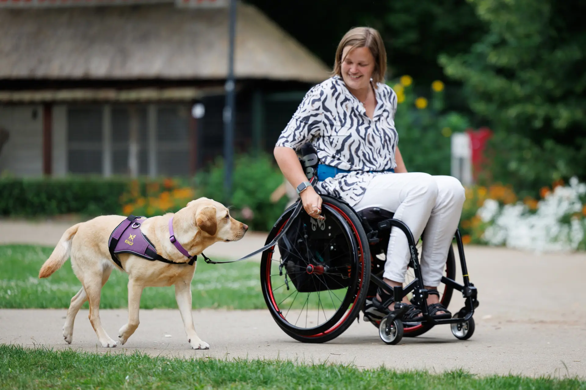 Assistentiehond Eske loopt naast de rolstoel waar Maya in zit