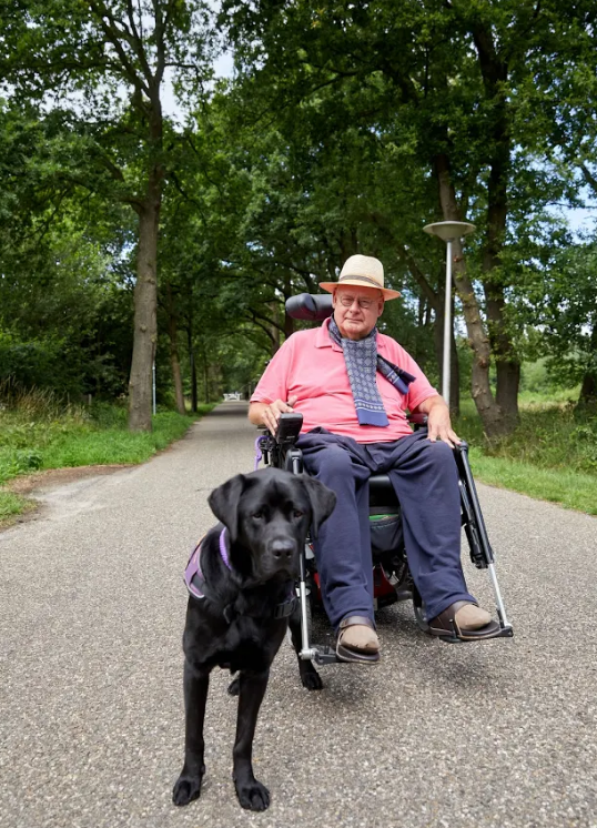 Bert en assistentiehond Plato samen in het park