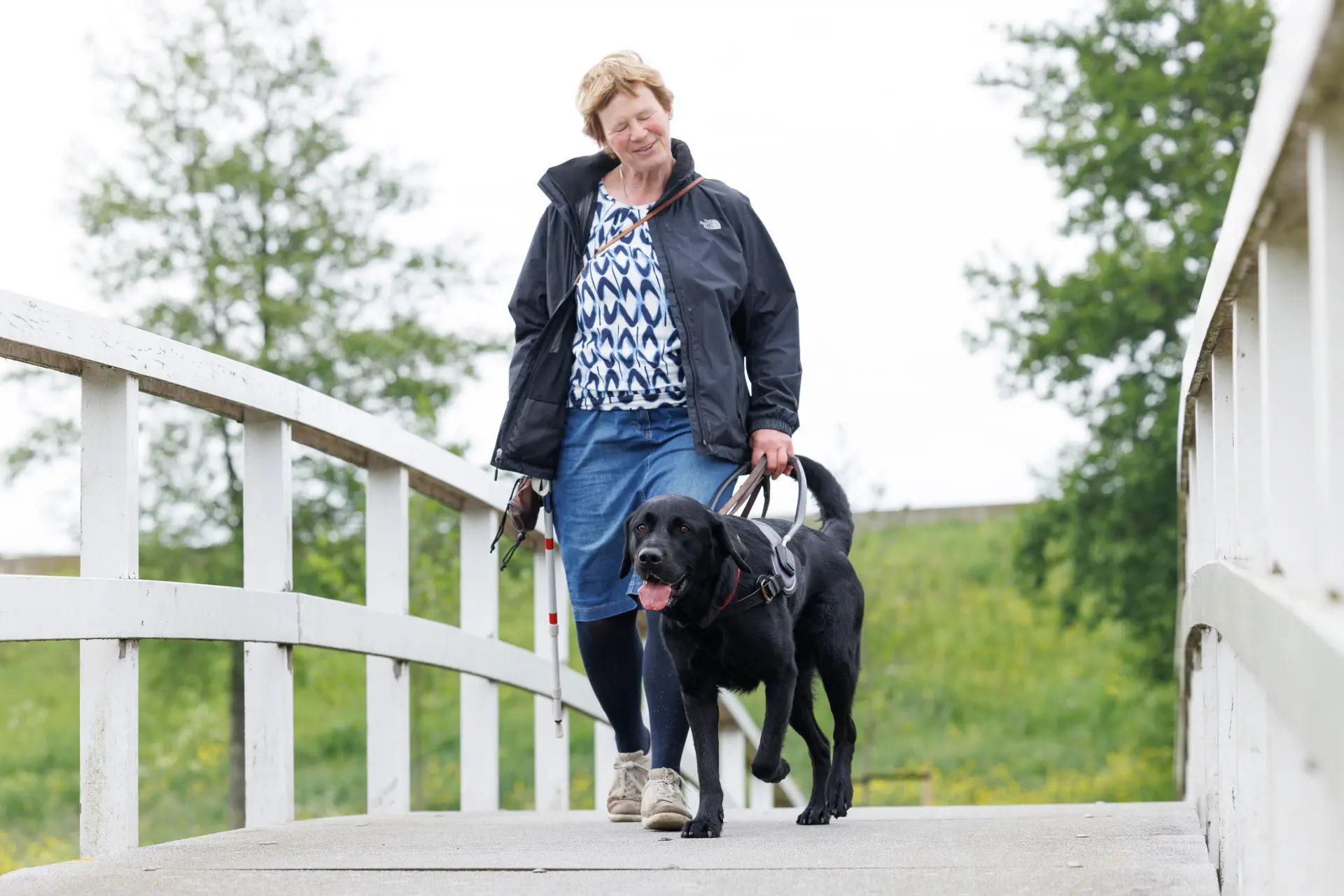 Clary en haar blindengeleidehond Flipse, een zwarte labrador kruising, wandelend over een brug
