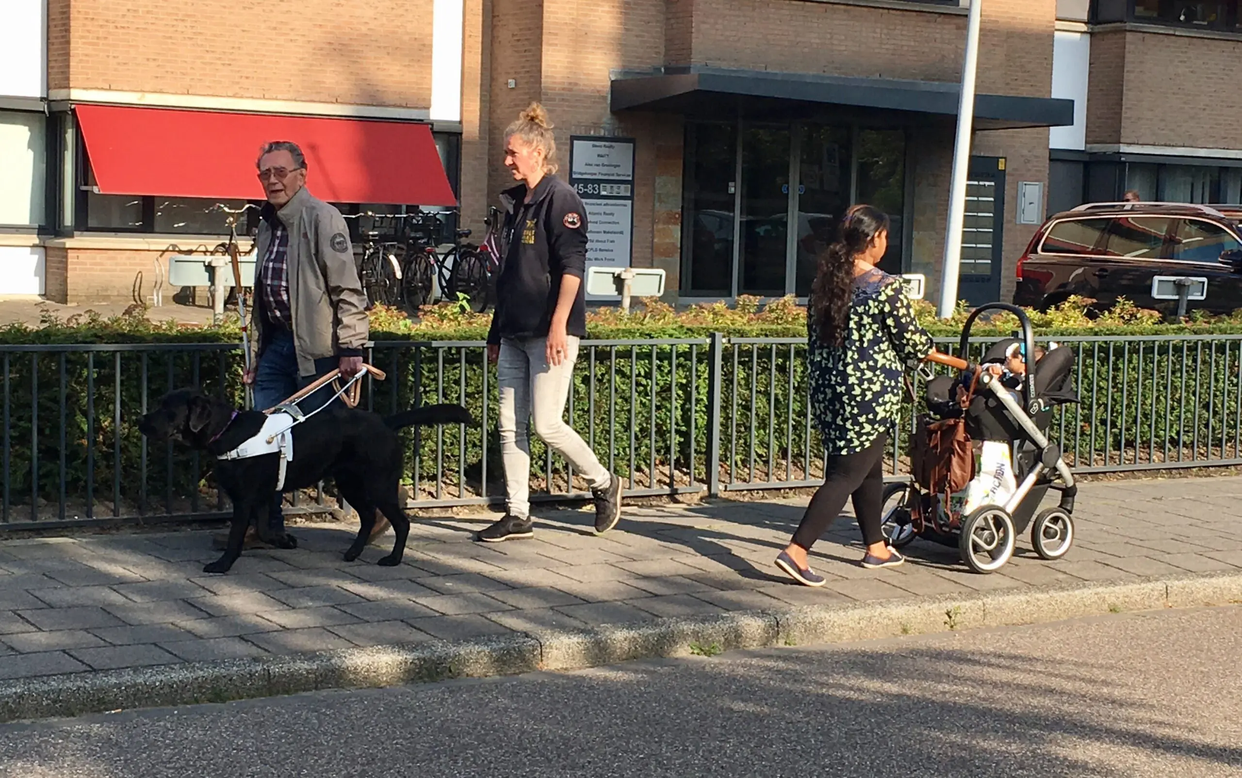 Tijdens een instructie loopt een blindengeleidehond met zijn baasje over straat, daarachter loopt een instructeur van KNGF