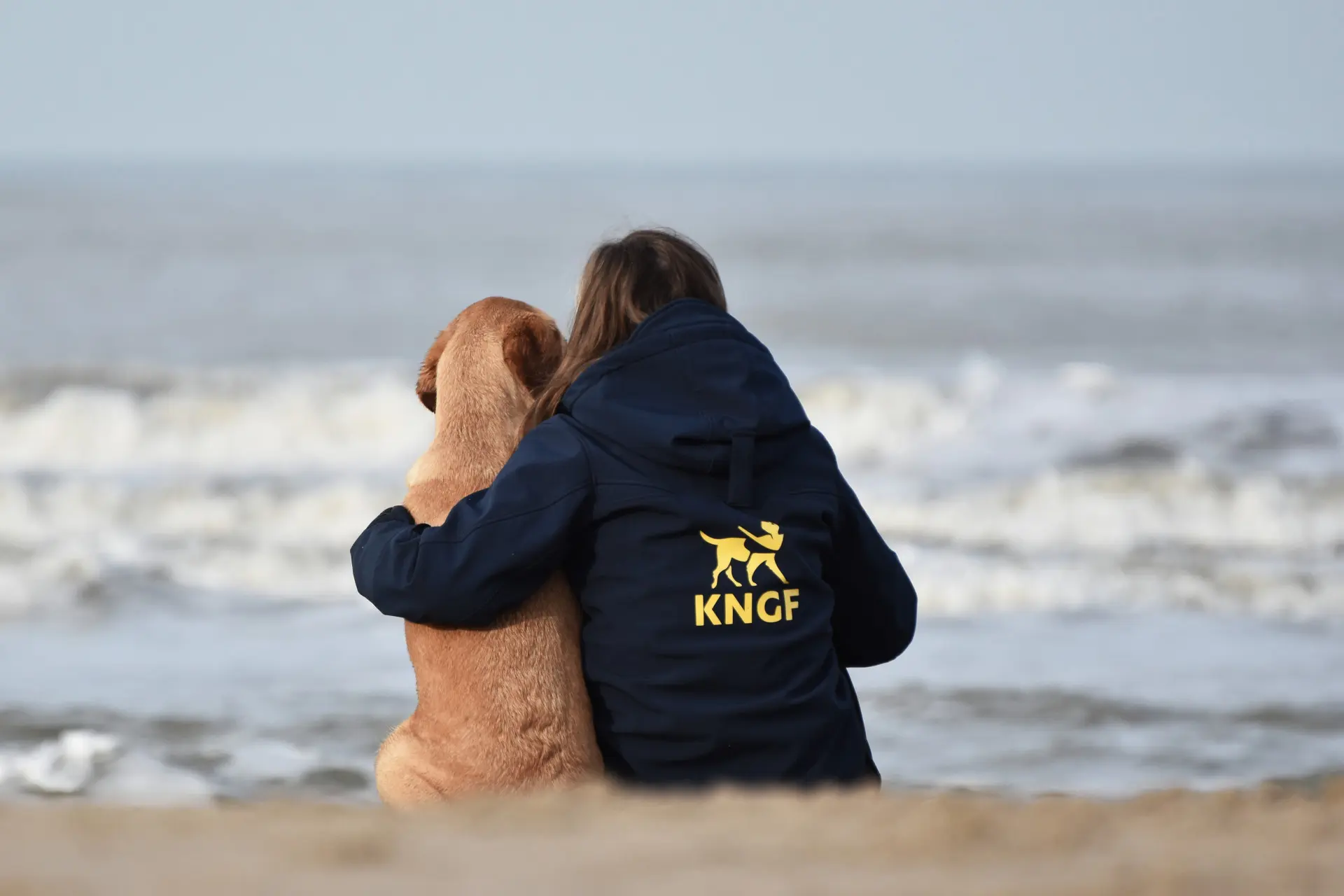 trainer in kngf-jas zit naast een hond op het strand, bekeken op de rug.