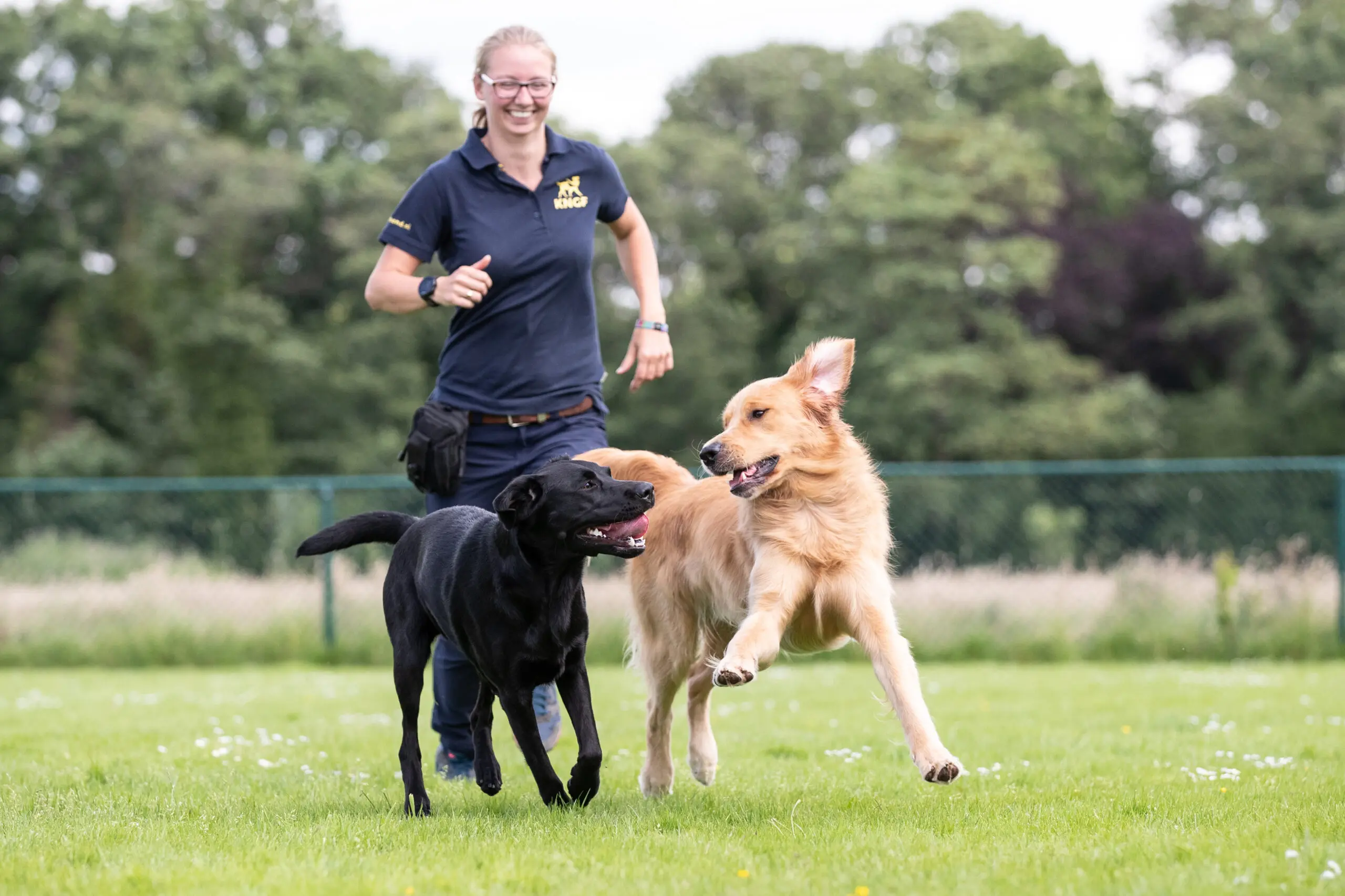 Jonge honden trainer buiten op het veld met 2 honden
