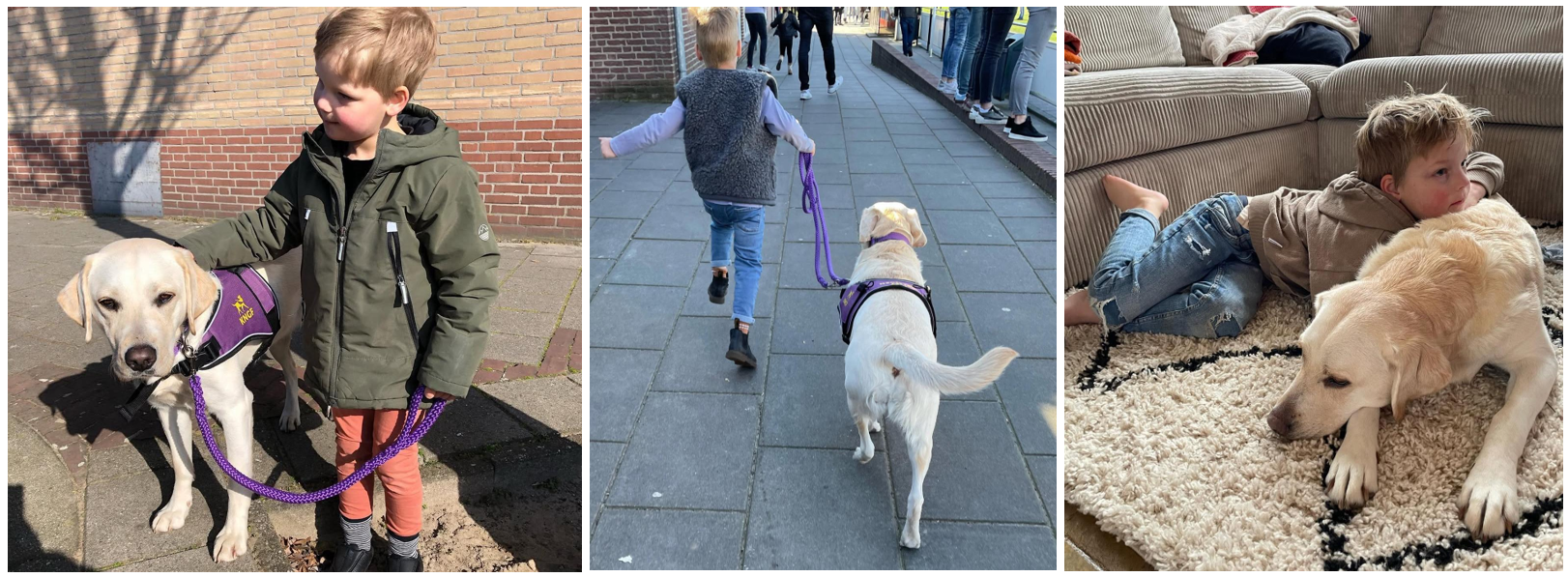 Collage van 3 foto's van Morris en Mira samen