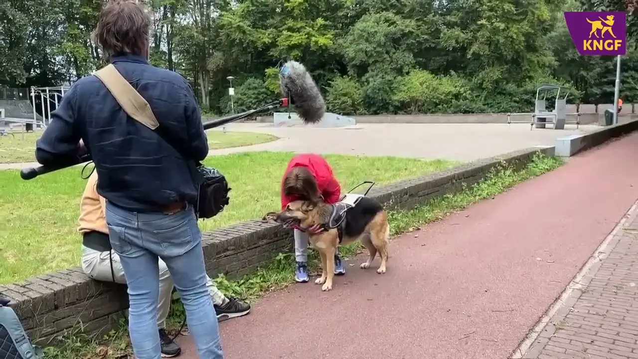 Een scene uit de vlog van Margot die laat zien hoe het filmen van een uitzending van de nalatenschap wordt gemaakt