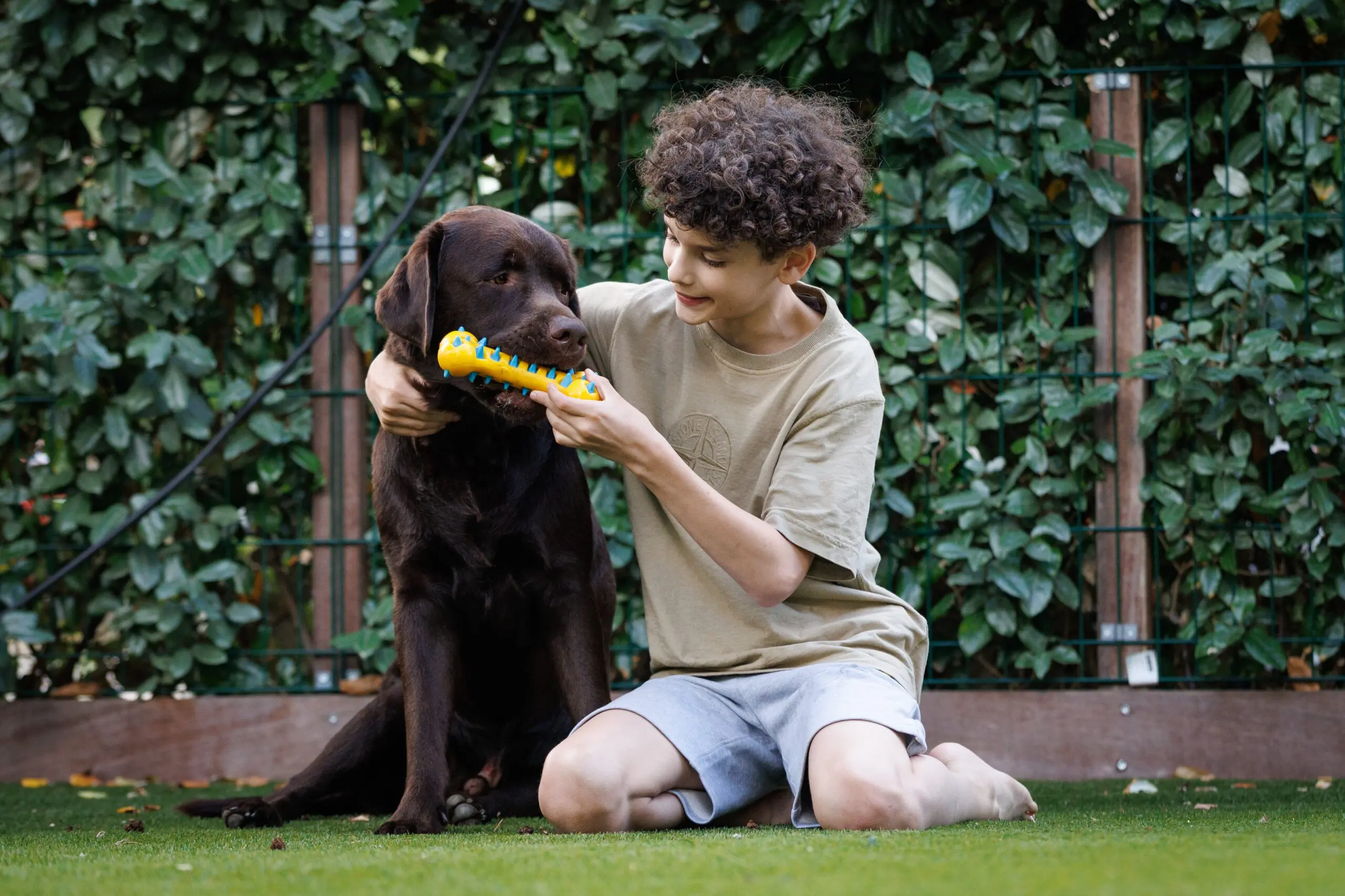 Xavier speelt met zijn bruine labrador Woody