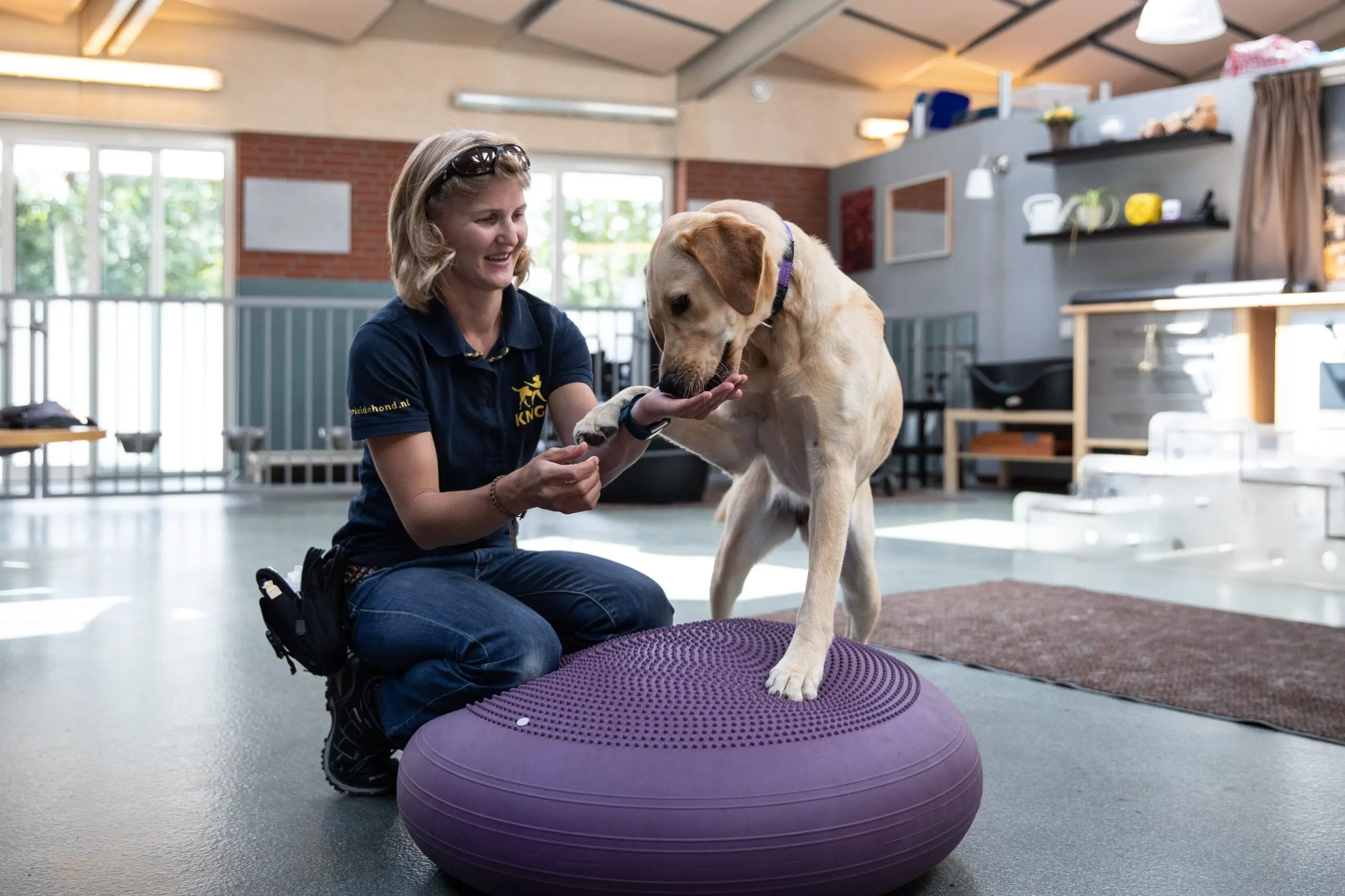 Spelletjes met de kennelhonden
