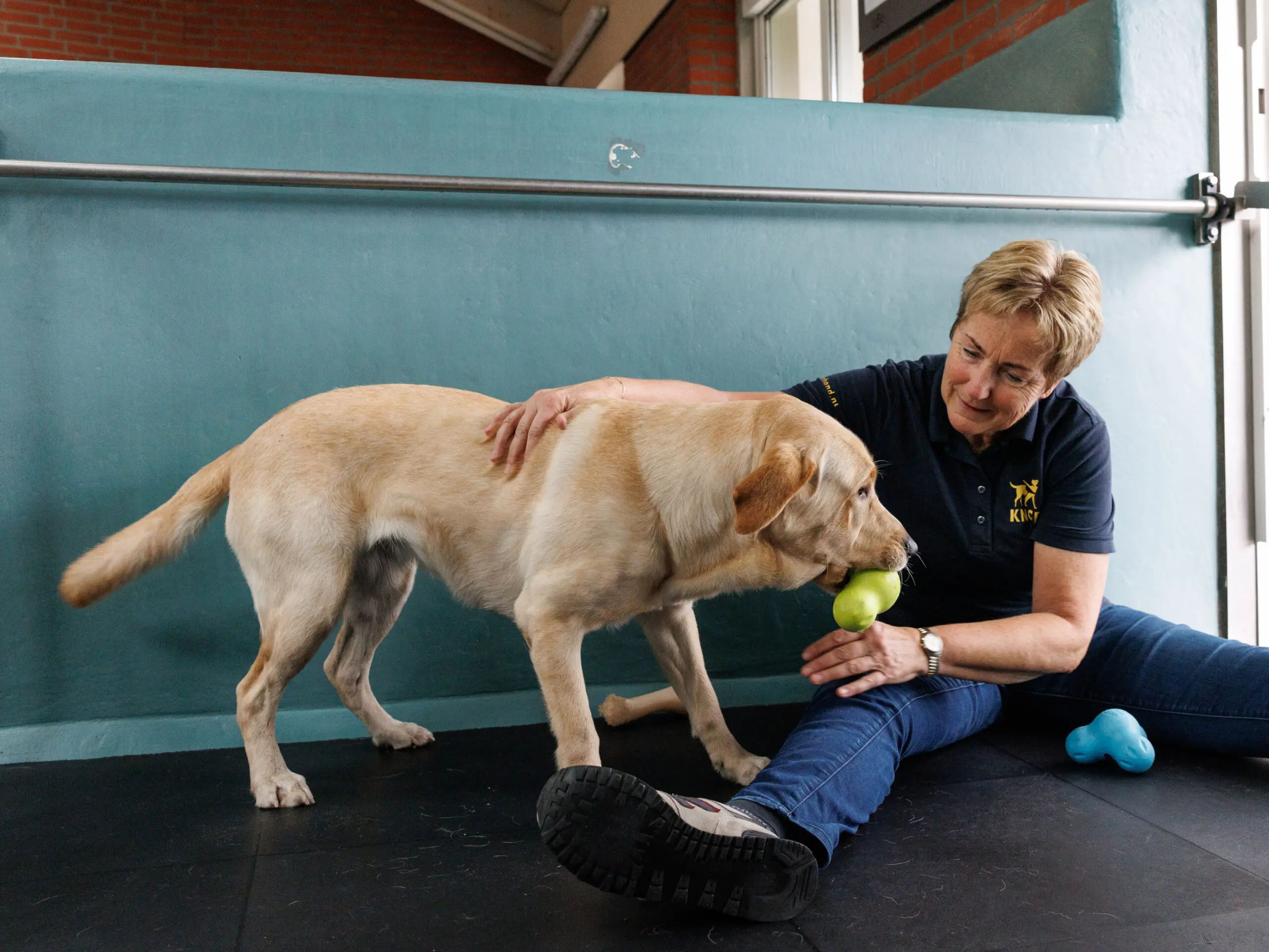 Kennelvrijwilliger Anita met hond in kennel, spelend