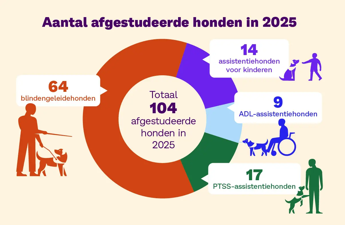 104 afgestudeerde honden