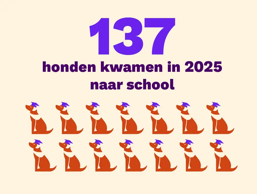 137 honden kwamen in 2025 naar school