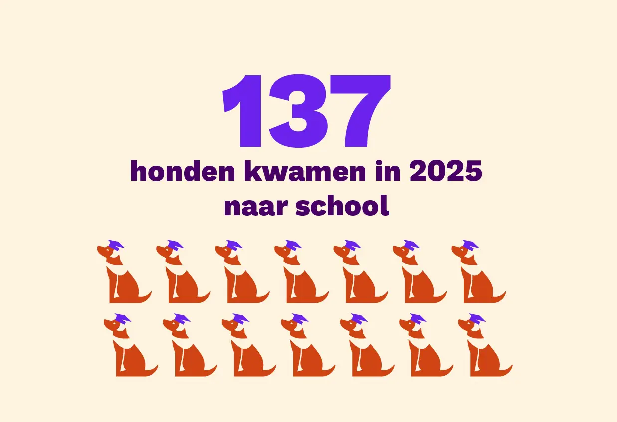 137 honden kwamen in 2025 naar school