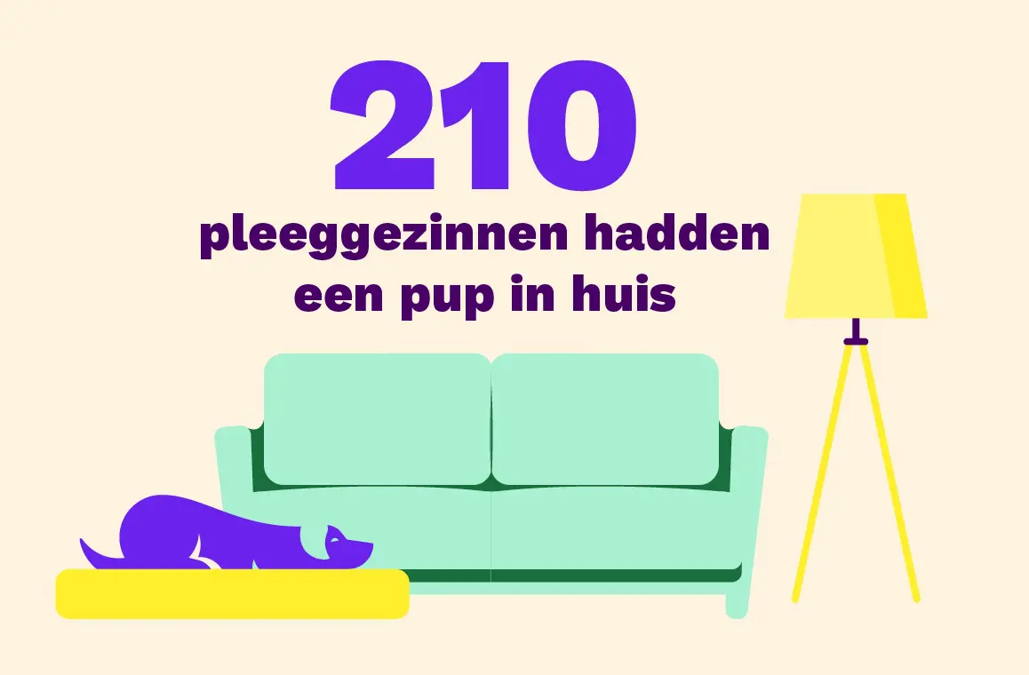 210 pleeggezinnen hadden een pup in huis