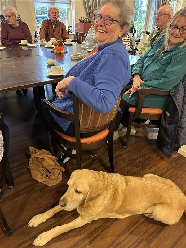 mevrouw wervershoof samen met een blonde labrador die bij haar op de grond ligt