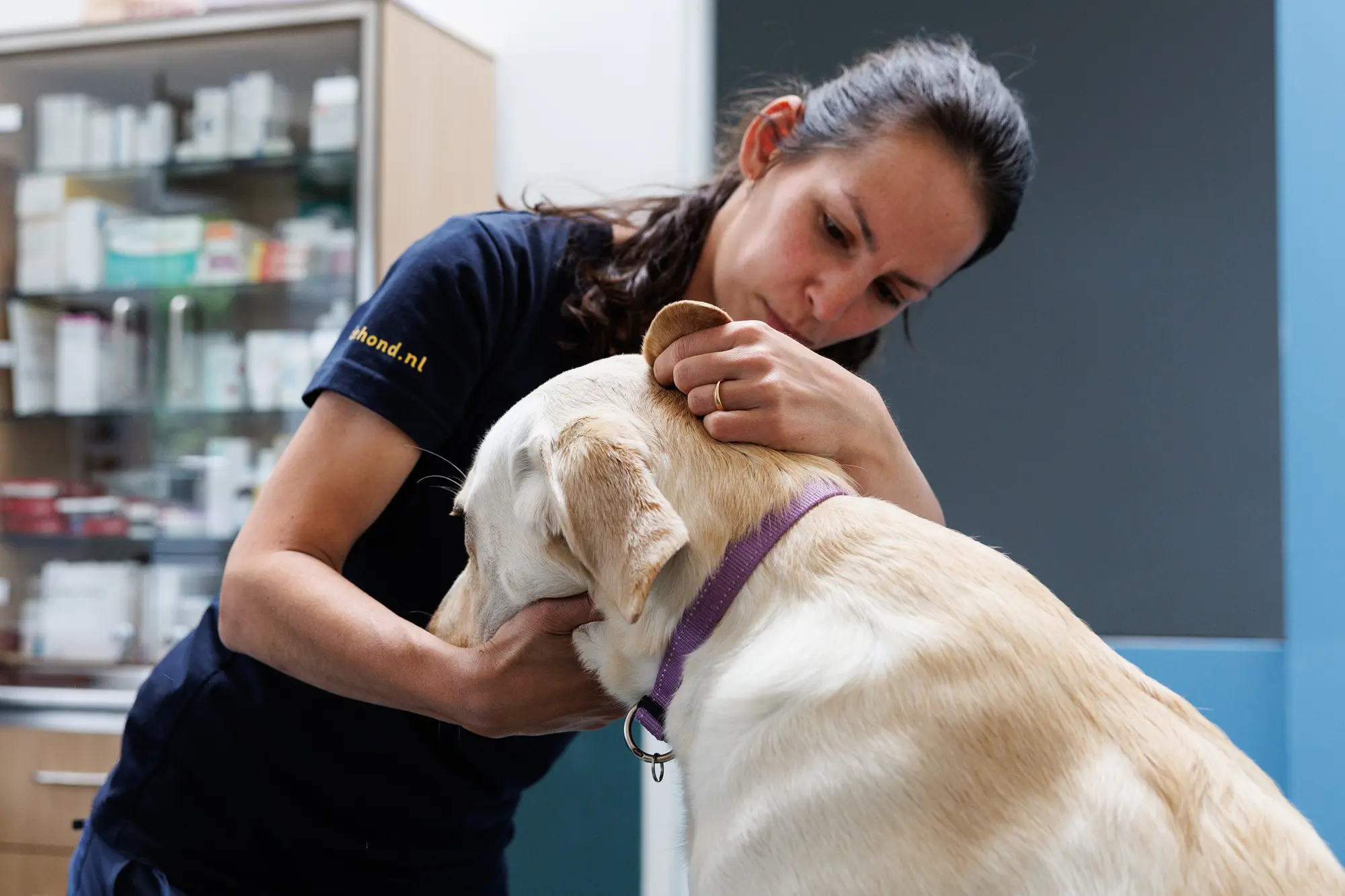 jonge vrouw kijkt in het oor van een blonde hond