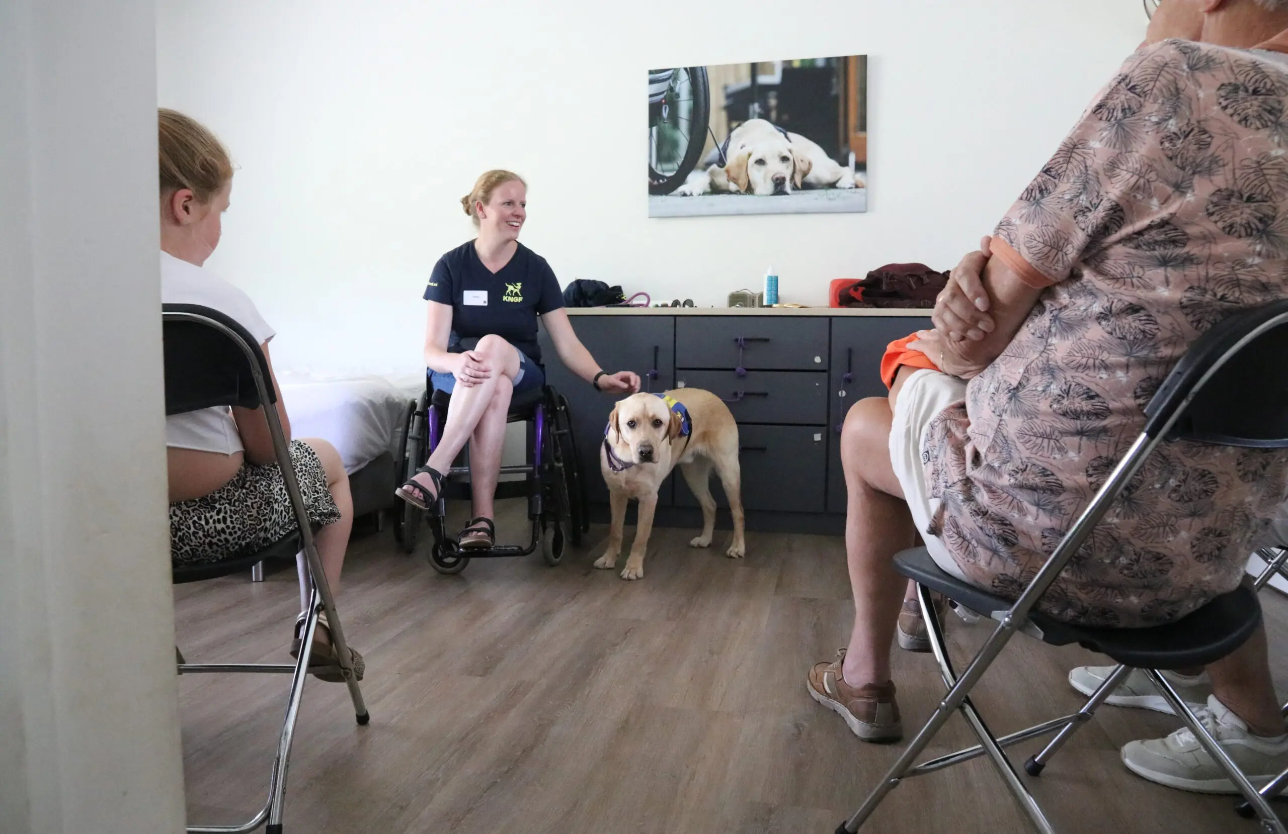Donateursdag 2026 - demo met ADL-assistentiehond in opleiding Japi