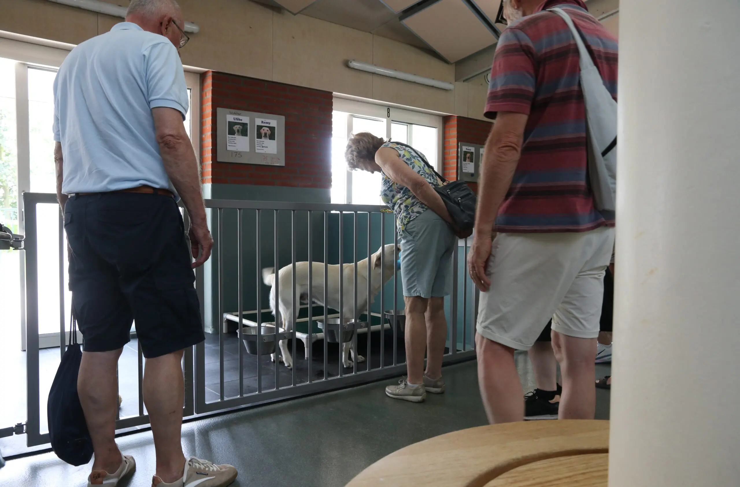 Donateursdag 2026 - bezoek aan de kennel