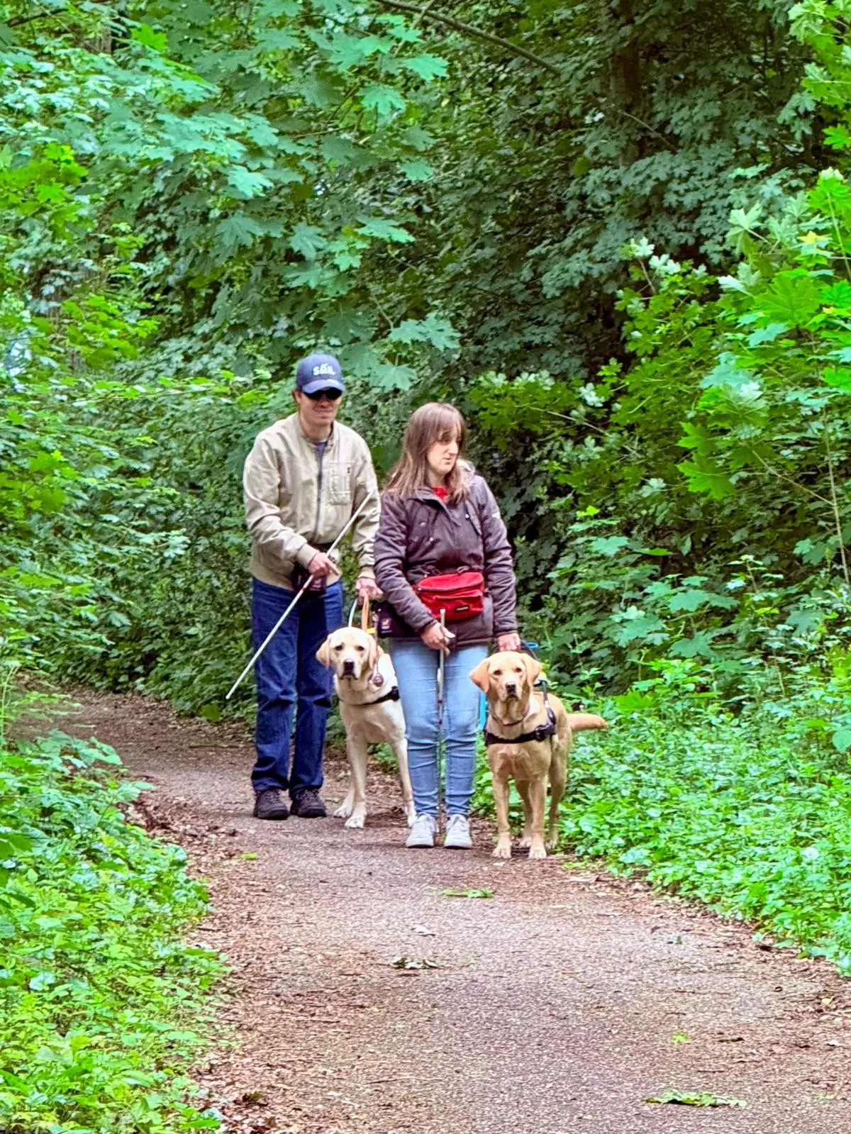 Ivo en Lisa en hun blindengeleidehonden Utah en Ulan lopen over bospad