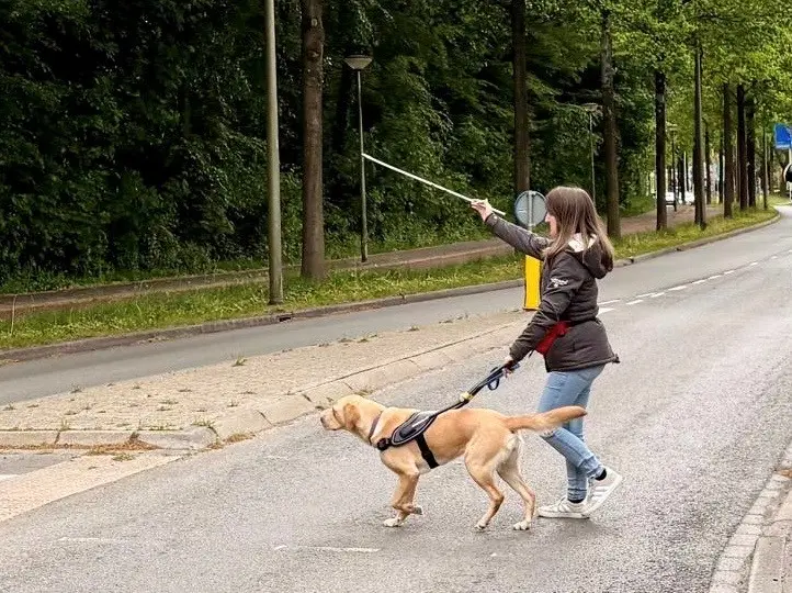 Lisa steekt over met haar blindengeleidehond Utah