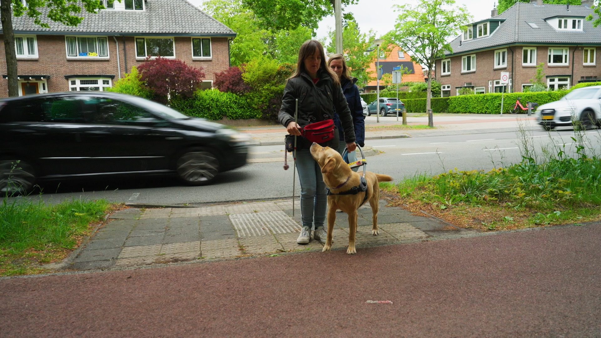 vrouw is net overgestoken de straat overgestoken en loopt met een geleidehond die stilstaat aan de rand van de straat en naar haar omhoog kijkt. Achter haar loopt een KNGF-instructeur.