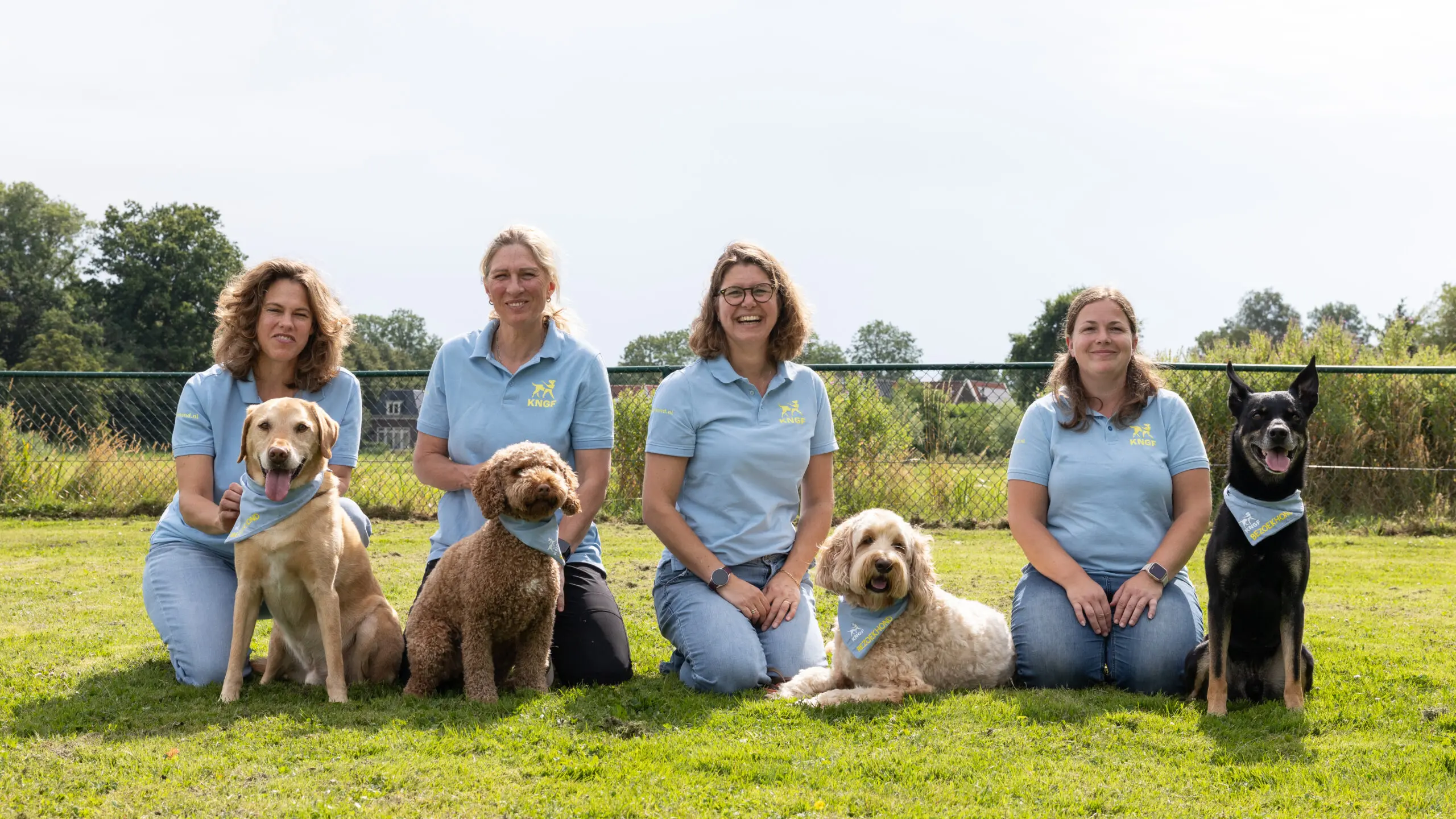 Vier bezoekhonden teams in een rij op het gras