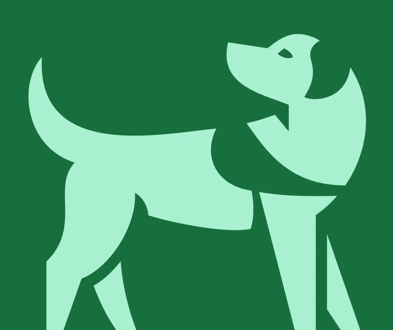 Afbeelding volgt, de kopfoto van deze hond is nog niet beschikbaar