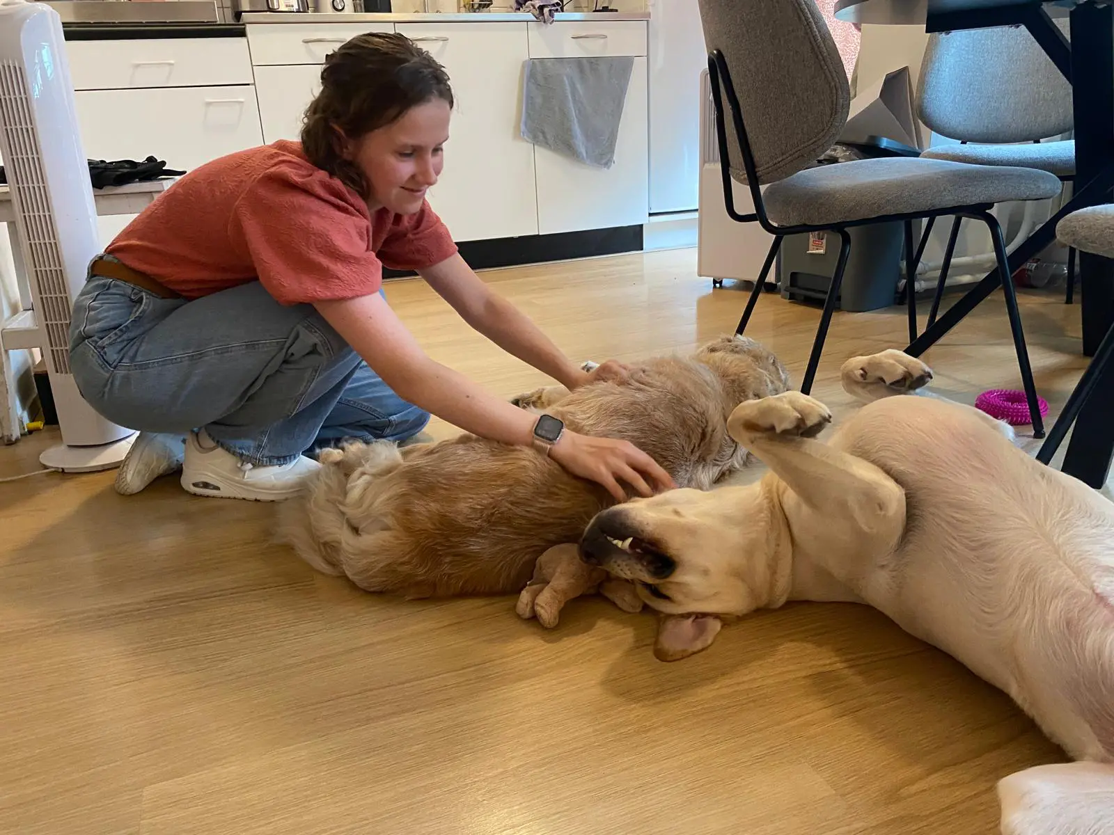Janice met haar blindengeleidehonden Urley en Willow in haar studentenhuis