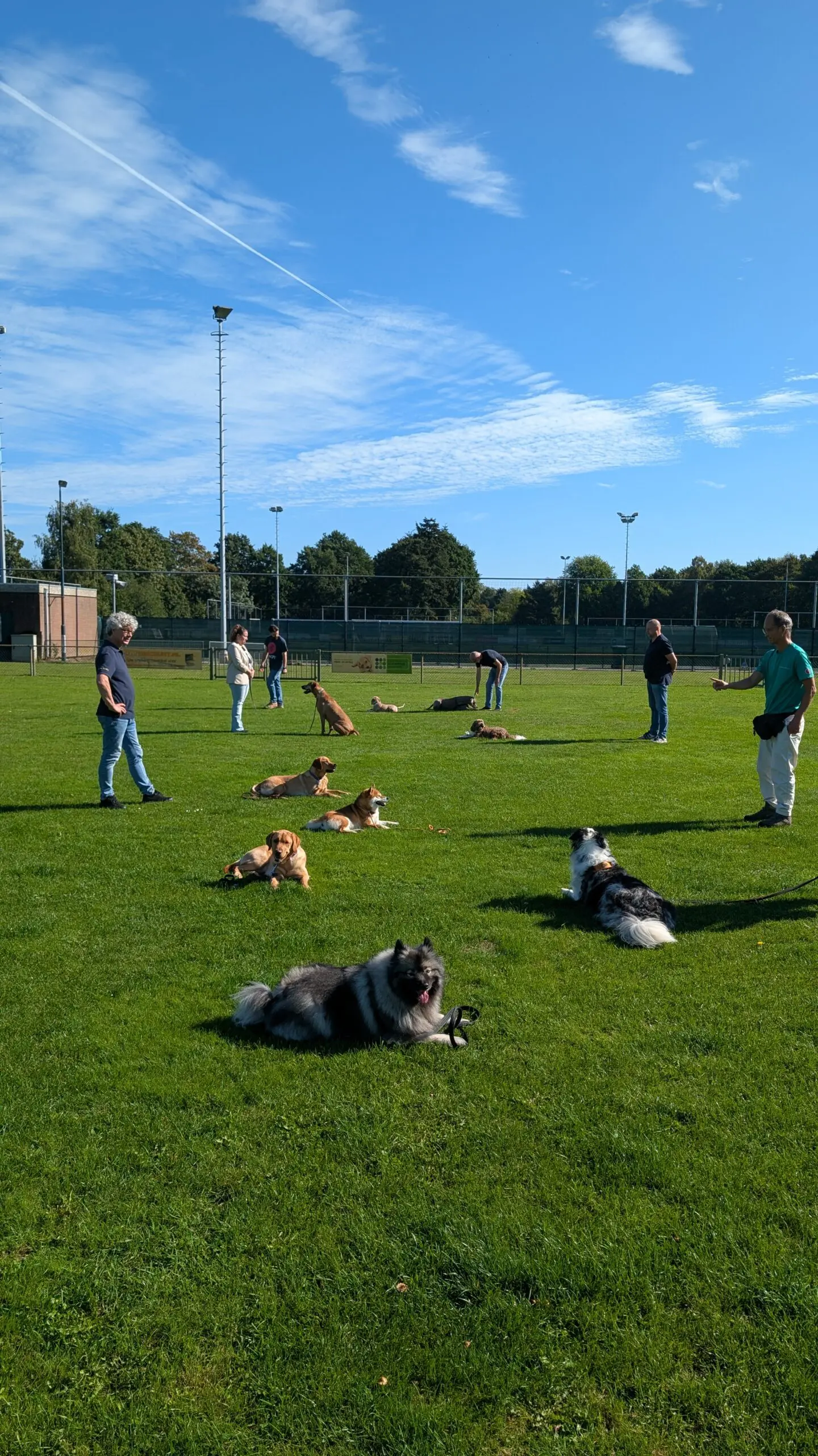 Een aantal mensen samen met hun hond verspreid over een grasveld luisteren naar de trainer