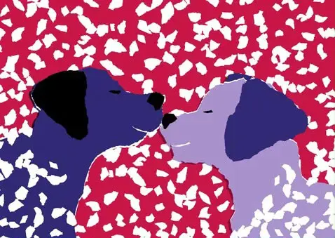 kaartje met 2 paarse honden en sneeuwvlokjes om hen heen.
