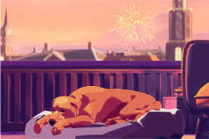 Brede maatschappelijke coalitie roept op tot landelijk vuurwerkverbod