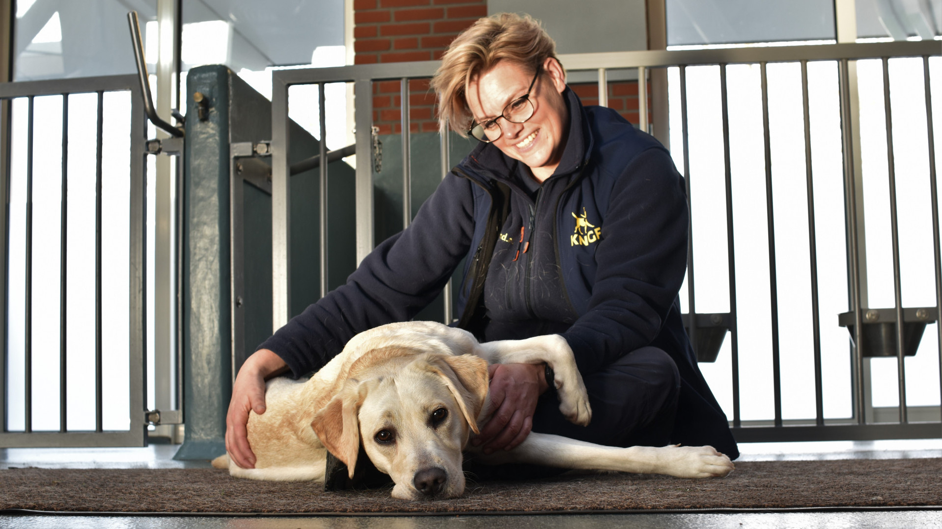 kennelmedewerker rafa knuffelt met blonde labrador
