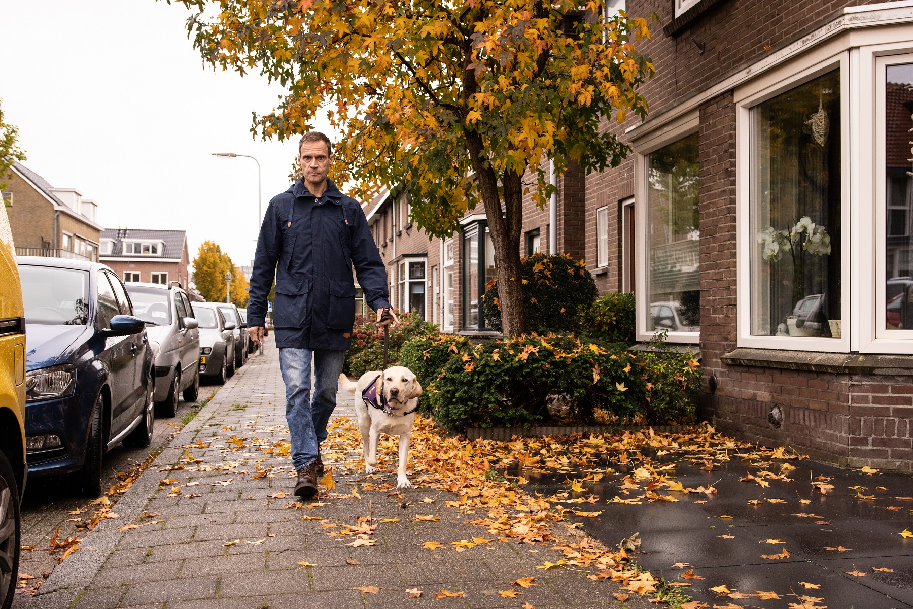 Erik loopt samen met zijn assistentiehond door een straat in herfstkleuren