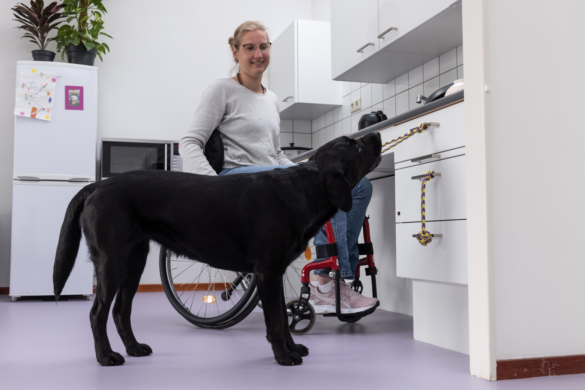 ADL-assistentiehond Jissa met Nynke