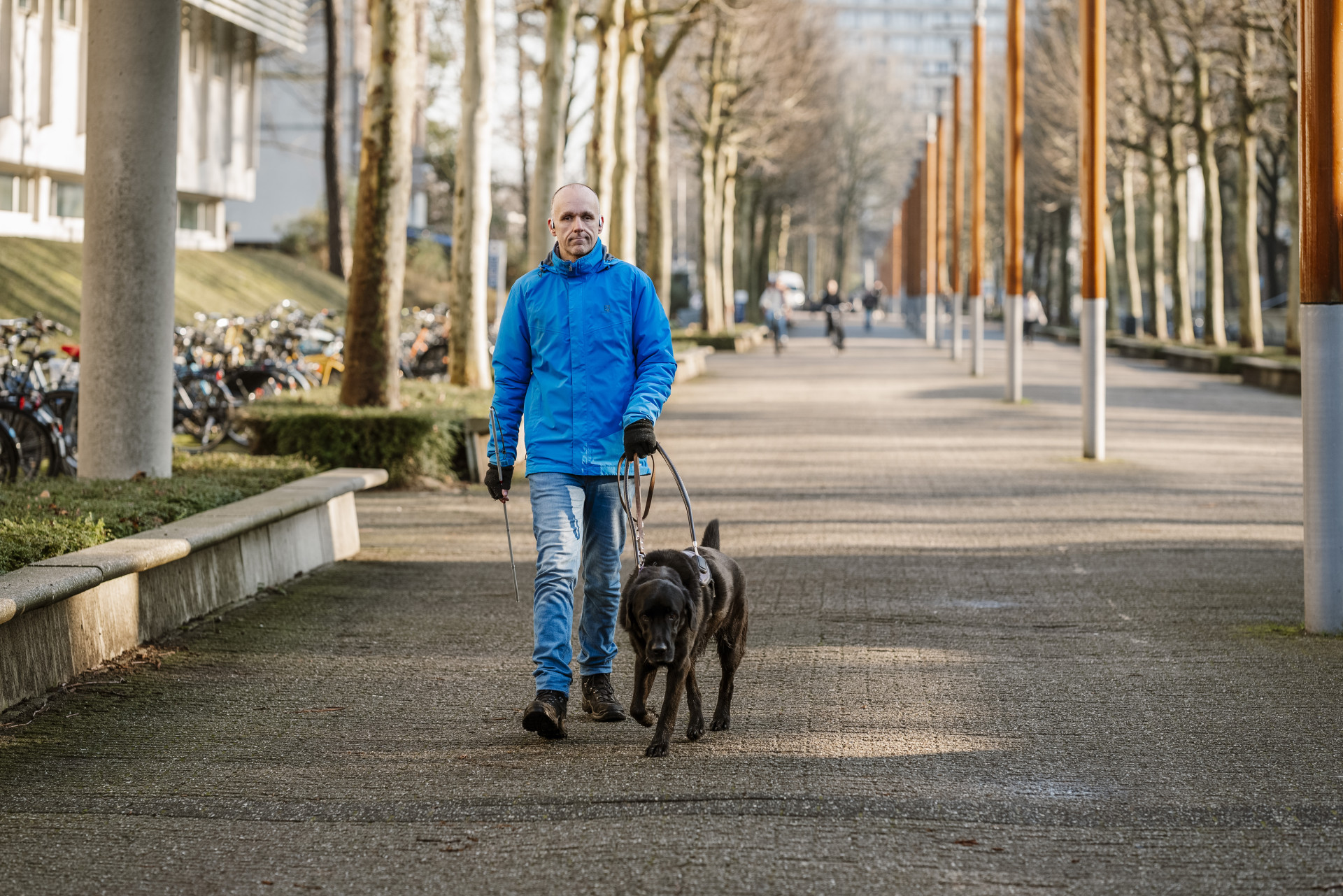 Man loopt op straat met blindengeleidehond in tuig