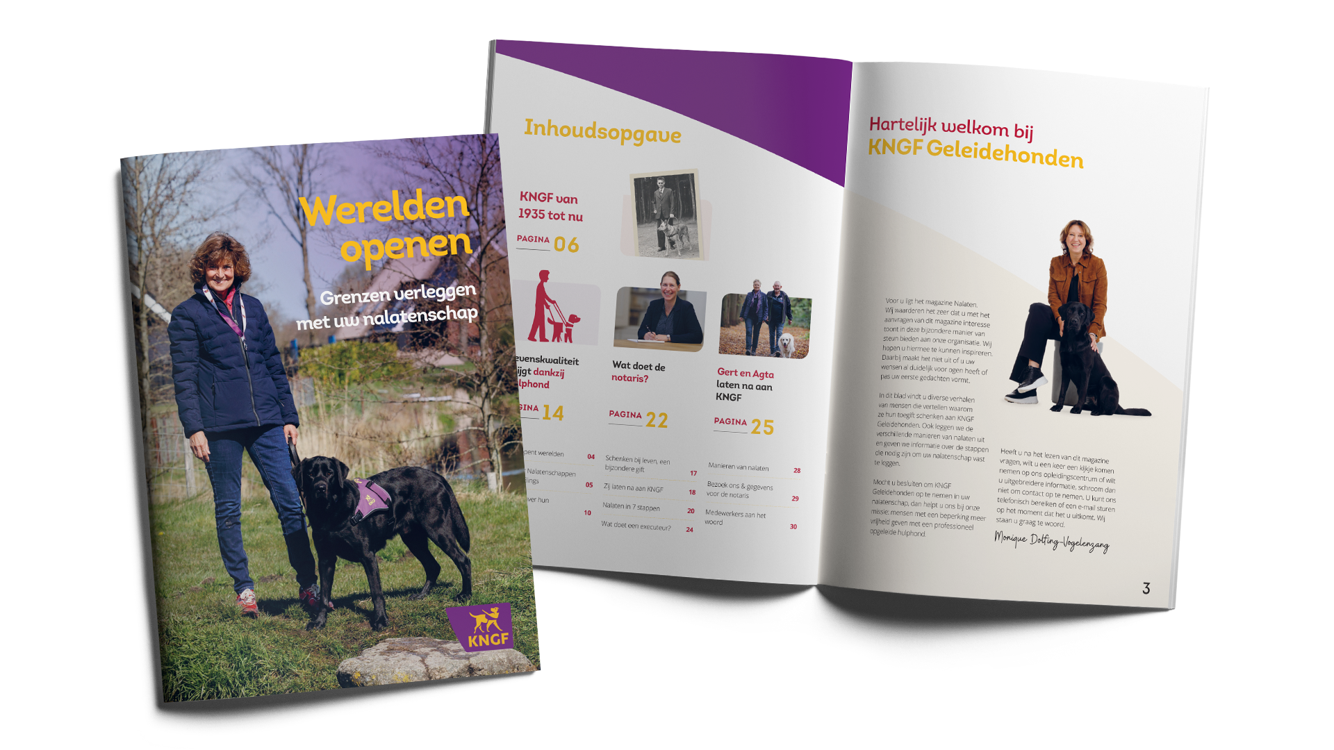 Voorbeeld nalaten magazine