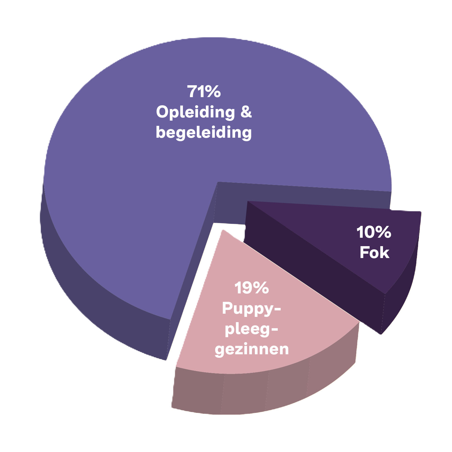 taartdiagram besteding donateursgeld