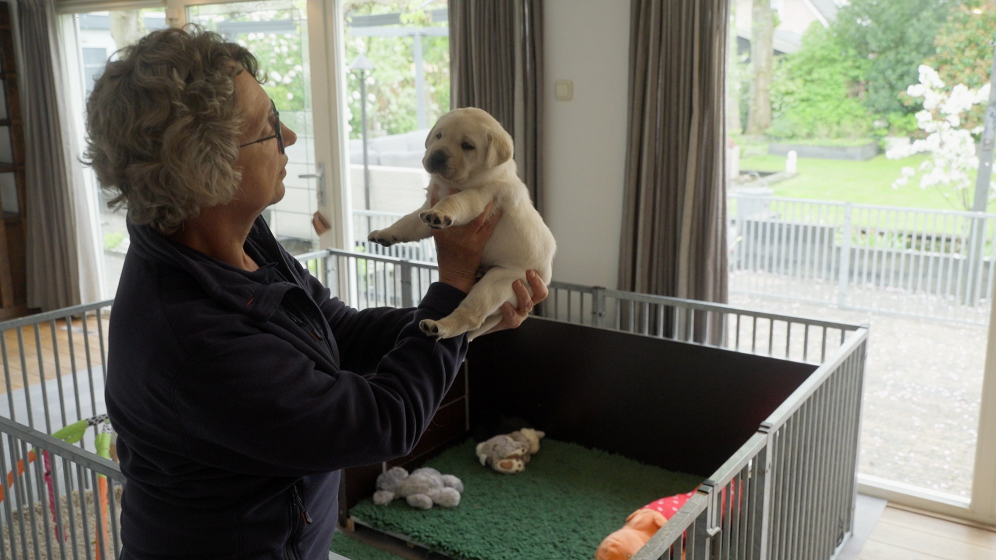 collega houd witte pup vast